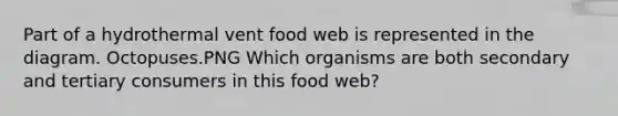 Part of a hydrothermal vent food web is represented in the diagram. Octopuses.PNG Which organisms are both secondary and tertiary consumers in this food web?