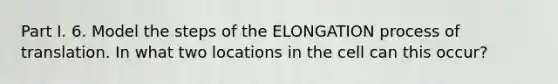 Part I. 6. Model the steps of the ELONGATION process of translation. In what two locations in the cell can this occur?