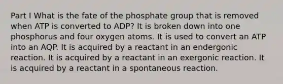 Part I What is the fate of the phosphate group that is removed when ATP is converted to ADP? It is broken down into one phosphorus and four oxygen atoms. It is used to convert an ATP into an AQP. It is acquired by a reactant in an endergonic reaction. It is acquired by a reactant in an exergonic reaction. It is acquired by a reactant in a spontaneous reaction.