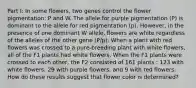 Part I: In some flowers, two genes control the flower pigmentation: P and W. The allele for purple pigmentation (P) is dominant to the allele for red pigmentation (p). However, in the presence of one dominant W allele, flowers are white regardless of the alleles of the other gene (P/p). When a plant with red flowers was crossed to a pure-breeding plant with white flowers, all of the F1 plants had white flowers. When the F1 plants were crossed to each other, the F2 consisted of 161 plants : 123 with white flowers, 29 with purple flowers, and 9 with red flowers. How do these results suggest that flower color is determined?