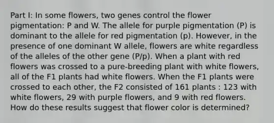 Part I: In some flowers, two genes control the flower pigmentation: P and W. <a href='https://www.questionai.com/knowledge/kAL0udV9XV-the-all' class='anchor-knowledge'>the all</a>ele for purple pigmentation (P) is dominant to the allele for red pigmentation (p). However, in the presence of one dominant W allele, flowers are white regardless of the alleles of the other gene (P/p). When a plant with red flowers was crossed to a pure-breeding plant with white flowers, all of the F1 plants had white flowers. When the F1 plants were crossed to each other, the F2 consisted of 161 plants : 123 with white flowers, 29 with purple flowers, and 9 with red flowers. How do these results suggest that flower color is determined?