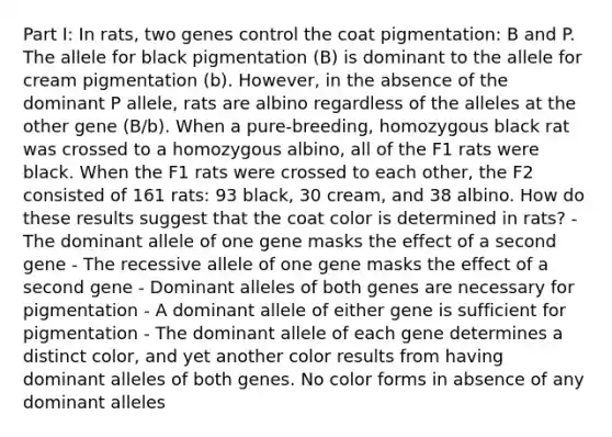 Part I: In rats, two genes control the coat pigmentation: B and P. The allele for black pigmentation (B) is dominant to the allele for cream pigmentation (b). However, in the absence of the dominant P allele, rats are albino regardless of the alleles at the other gene (B/b). When a pure-breeding, homozygous black rat was crossed to a homozygous albino, all of the F1 rats were black. When the F1 rats were crossed to each other, the F2 consisted of 161 rats: 93 black, 30 cream, and 38 albino. How do these results suggest that the coat color is determined in rats? - The dominant allele of one gene masks the effect of a second gene - The recessive allele of one gene masks the effect of a second gene - Dominant alleles of both genes are necessary for pigmentation - A dominant allele of either gene is sufficient for pigmentation - The dominant allele of each gene determines a distinct color, and yet another color results from having dominant alleles of both genes. No color forms in absence of any dominant alleles