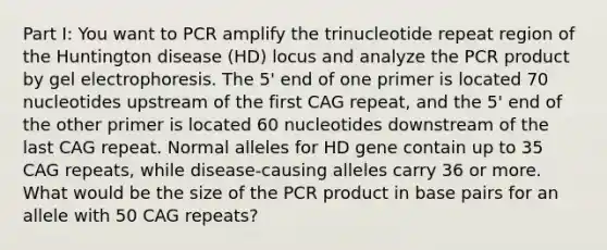 Part I: You want to PCR amplify the trinucleotide repeat region of the Huntington disease (HD) locus and analyze the PCR product by gel electrophoresis. The 5' end of one primer is located 70 nucleotides upstream of the first CAG repeat, and the 5' end of the other primer is located 60 nucleotides downstream of the last CAG repeat. Normal alleles for HD gene contain up to 35 CAG repeats, while disease-causing alleles carry 36 or more. What would be the size of the PCR product in base pairs for an allele with 50 CAG repeats?