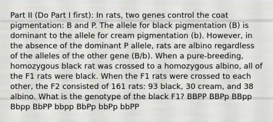 Part II (Do Part I first): In rats, two genes control the coat pigmentation: B and P. The allele for black pigmentation (B) is dominant to the allele for cream pigmentation (b). However, in the absence of the dominant P allele, rats are albino regardless of the alleles of the other gene (B/b). When a pure-breeding, homozygous black rat was crossed to a homozygous albino, all of the F1 rats were black. When the F1 rats were crossed to each other, the F2 consisted of 161 rats: 93 black, 30 cream, and 38 albino. What is the genotype of the black F1? BBPP BBPp BBpp Bbpp BbPP bbpp BbPp bbPp bbPP