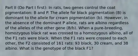 Part II (Do Part I first): In rats, two genes control the coat pigmentation: B and P. The allele for black pigmentation (B) is dominant to the allele for cream pigmentation (b). However, in the absence of the dominant P allele, rats are albino regardless of the alleles of the other gene (B/b). When a pure-breeding, homozygous black rat was crossed to a homozygous albino, all of the F1 rats were black. When the F1 rats were crossed to each other, the F2 consisted of 161 rats: 93 black, 30 cream, and 38 albino. What is the genotype of the black F1?