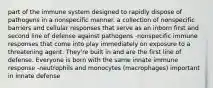 part of the immune system designed to rapidly dispose of pathogens in a nonspecific manner. a collection of nonspecific barriers and cellular responses that serve as an inborn first and second line of defense against pathogens -nonspecific immune responses that come into play immediately on exposure to a threatening agent. They're built in and are the first line of defense. Everyone is born with the same innate immune response -neutrophils and monocytes (macrophages) important in innate defense