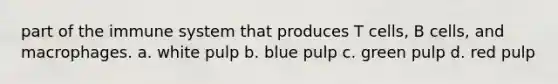 part of the immune system that produces T cells, B cells, and macrophages. a. white pulp b. blue pulp c. green pulp d. red pulp