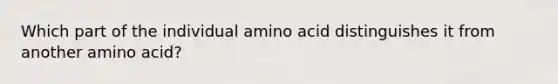 Which part of the individual amino acid distinguishes it from another amino acid?