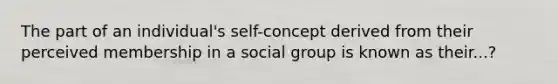 The part of an individual's self-concept derived from their perceived membership in a social group is known as their...?