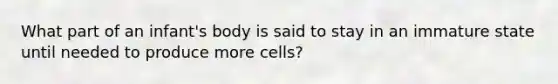 What part of an infant's body is said to stay in an immature state until needed to produce more cells?