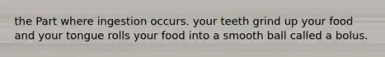 the Part where ingestion occurs. your teeth grind up your food and your tongue rolls your food into a smooth ball called a bolus.