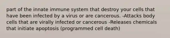 part of the innate immune system that destroy your cells that have been infected by a virus or are cancerous. -Attacks body cells that are virally infected or cancerous -Releases chemicals that initiate apoptosis (programmed cell death)