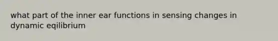 what part of the inner ear functions in sensing changes in dynamic eqilibrium