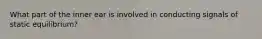 What part of the inner ear is involved in conducting signals of static equilibrium?