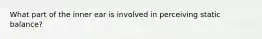 What part of the inner ear is involved in perceiving static balance?