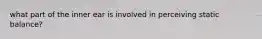 what part of the inner ear is involved in perceiving static balance?
