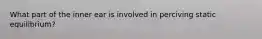 What part of the inner ear is involved in perciving static equilibrium?