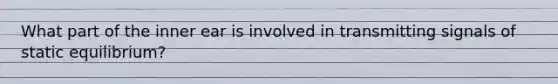 What part of the inner ear is involved in transmitting signals of static equilibrium?