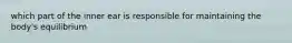 which part of the inner ear is responsible for maintaining the body's equilibrium
