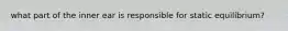 what part of the inner ear is responsible for static equilibrium?