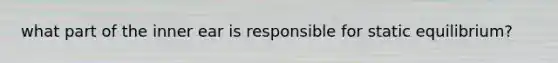 what part of the inner ear is responsible for static equilibrium?
