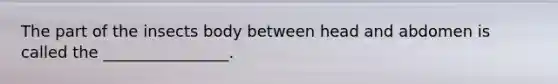 The part of the insects body between head and abdomen is called the ________________.