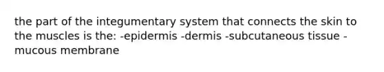 the part of the integumentary system that connects the skin to the muscles is the: -epidermis -dermis -subcutaneous tissue -mucous membrane