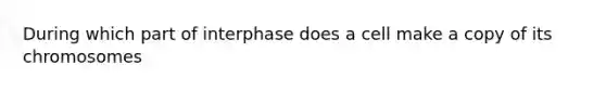 During which part of interphase does a cell make a copy of its chromosomes