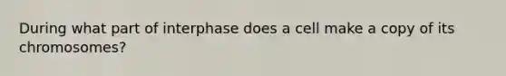 During what part of interphase does a cell make a copy of its chromosomes?