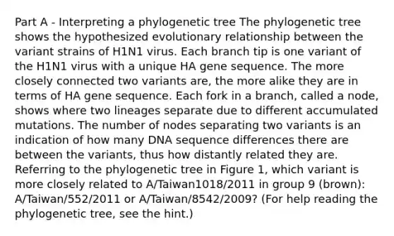 Part A - Interpreting a phylogenetic tree The phylogenetic tree shows the hypothesized evolutionary relationship between the variant strains of H1N1 virus. Each branch tip is one variant of the H1N1 virus with a unique HA gene sequence. The more closely connected two variants are, the more alike they are in terms of HA gene sequence. Each fork in a branch, called a node, shows where two lineages separate due to different accumulated mutations. The number of nodes separating two variants is an indication of how many DNA sequence differences there are between the variants, thus how distantly related they are. Referring to the phylogenetic tree in Figure 1, which variant is more closely related to A/Taiwan1018/2011 in group 9 (brown): A/Taiwan/552/2011 or A/Taiwan/8542/2009? (For help reading the phylogenetic tree, see the hint.)