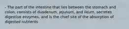 - The part of the intestine that lies between the stomach and colon, consists of duodenum, jejunum, and ileum, secretes digestive enzymes, and is the chief site of the absorption of digested nutrients