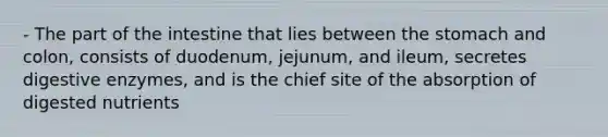 - The part of the intestine that lies between <a href='https://www.questionai.com/knowledge/kLccSGjkt8-the-stomach' class='anchor-knowledge'>the stomach</a> and colon, consists of duodenum, jejunum, and ileum, secretes <a href='https://www.questionai.com/knowledge/kK14poSlmL-digestive-enzymes' class='anchor-knowledge'>digestive enzymes</a>, and is the chief site of the absorption of digested nutrients