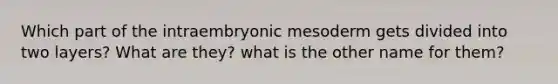 Which part of the intraembryonic mesoderm gets divided into two layers? What are they? what is the other name for them?