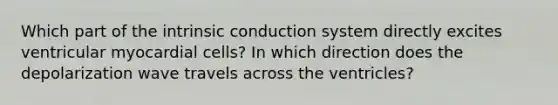 Which part of the intrinsic conduction system directly excites ventricular myocardial cells? In which direction does the depolarization wave travels across the ventricles?