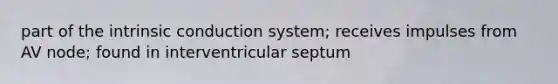 part of the intrinsic conduction system; receives impulses from AV node; found in interventricular septum