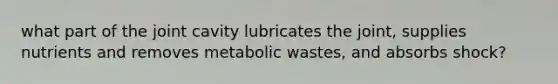 what part of the joint cavity lubricates the joint, supplies nutrients and removes metabolic wastes, and absorbs shock?