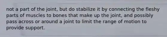 not a part of the joint, but do stabilize it by connecting the fleshy parts of muscles to bones that make up the joint, and possibly pass across or around a joint to limit the range of motion to provide support.