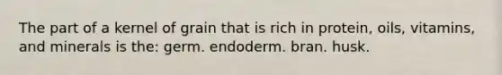 The part of a kernel of grain that is rich in protein, oils, vitamins, and minerals is the: germ. endoderm. bran. husk.