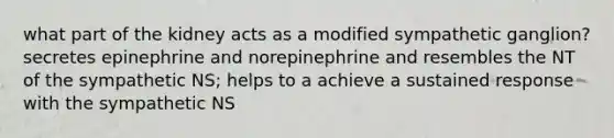 what part of the kidney acts as a modified sympathetic ganglion? secretes epinephrine and norepinephrine and resembles the NT of the sympathetic NS; helps to a achieve a sustained response with the sympathetic NS