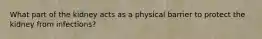 What part of the kidney acts as a physical barrier to protect the kidney from infections?