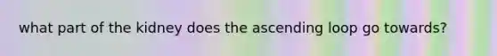 what part of the kidney does the ascending loop go towards?