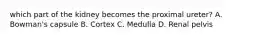 which part of the kidney becomes the proximal ureter? A. Bowman's capsule B. Cortex C. Medulla D. Renal pelvis