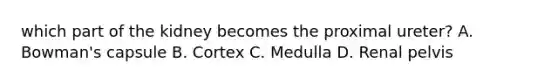 which part of the kidney becomes the proximal ureter? A. Bowman's capsule B. Cortex C. Medulla D. Renal pelvis