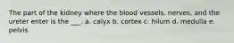 The part of the kidney where the blood vessels, nerves, and the ureter enter is the ___. a. calyx b. cortex c. hilum d. medulla e. pelvis