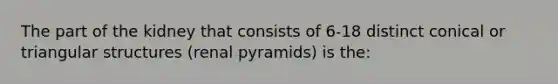 The part of the kidney that consists of 6-18 distinct conical or triangular structures (renal pyramids) is the: