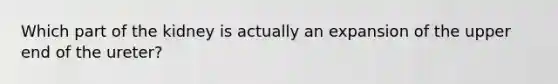 Which part of the kidney is actually an expansion of the upper end of the ureter?