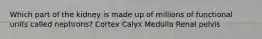 Which part of the kidney is made up of millions of functional units called nephrons? Cortex Calyx Medulla Renal pelvis