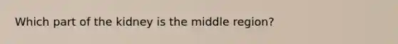 Which part of the kidney is the middle region?