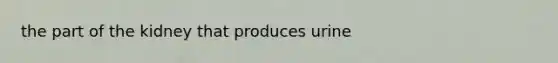 the part of the kidney that produces urine
