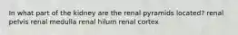 In what part of the kidney are the renal pyramids located? renal pelvis renal medulla renal hilum renal cortex